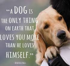 unconditional love from a dog whether you are skinny or fat